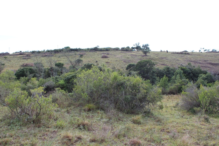 1 Bedroom Property for Sale in Bathurst Rural Eastern Cape